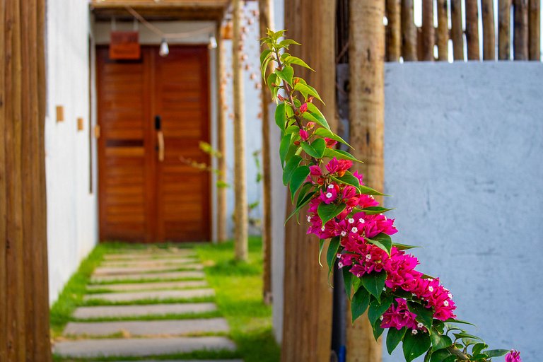 Milagreiros do Patacho - Vesúvio