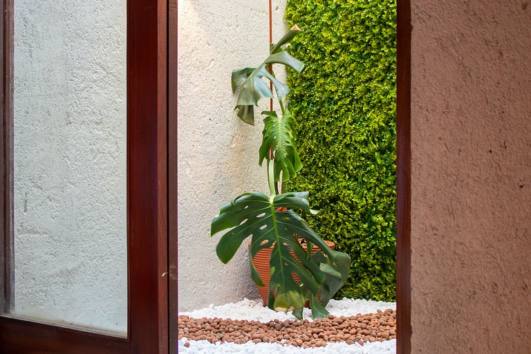 Milagreiros do Patacho - Vesúvio